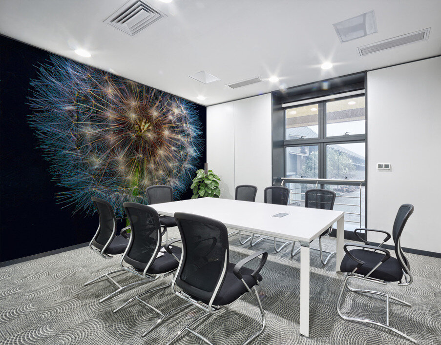 Dandelion Burst Wall Printing