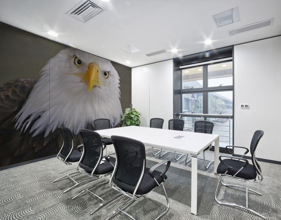 Bald eagle  Wall Printing
