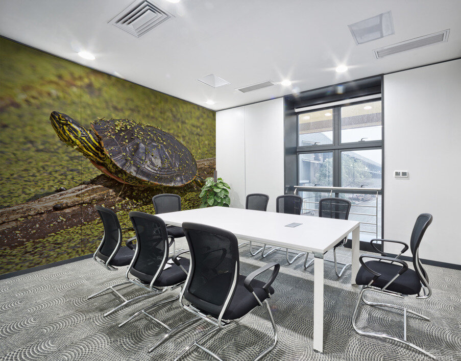 PaintedTurtle Wall Printing