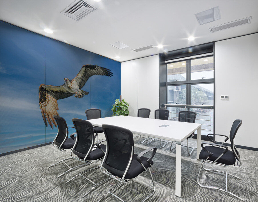 Osprey in flight Wall Printing