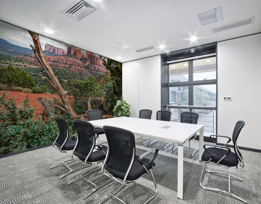 Scenic Sedona Wall Printing