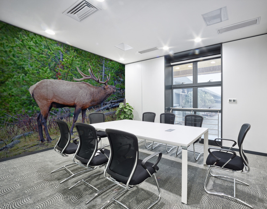 Alert call — bull elk Wall Printing