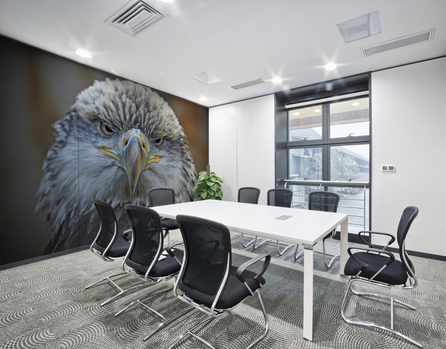 Bald Eagle Wall Printing