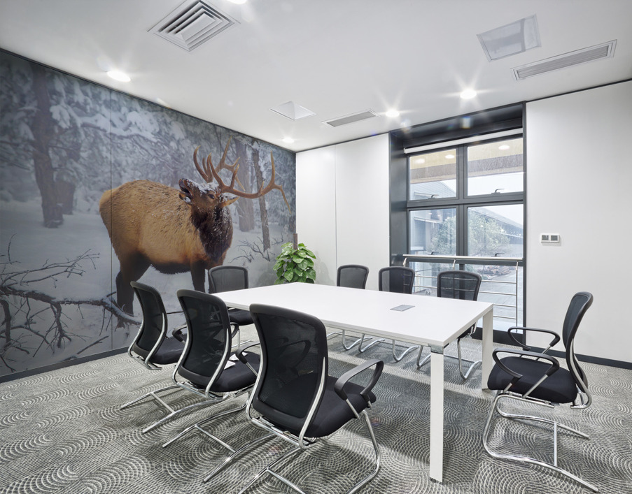 Grand Canyon Elk Wall Printing