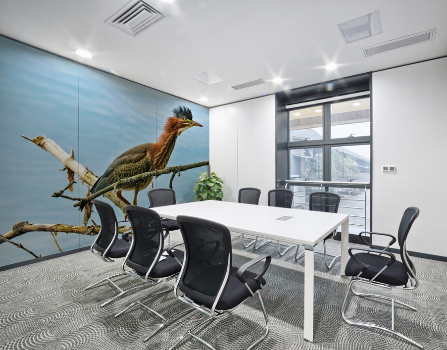 Green heron bristling Wall Printing