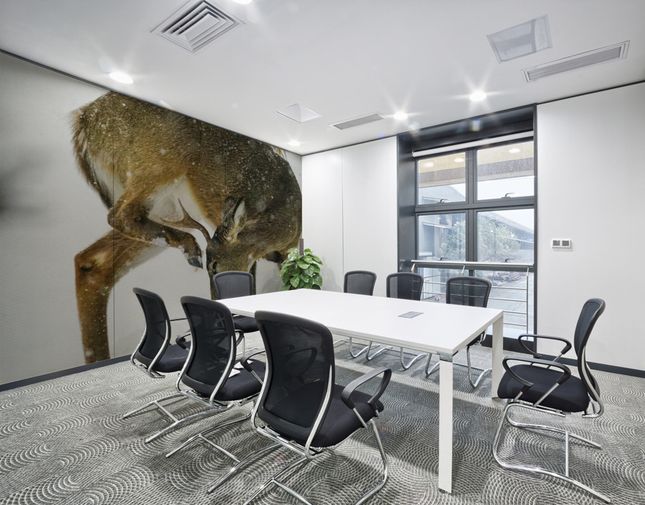 White tail scratching Wall Printing