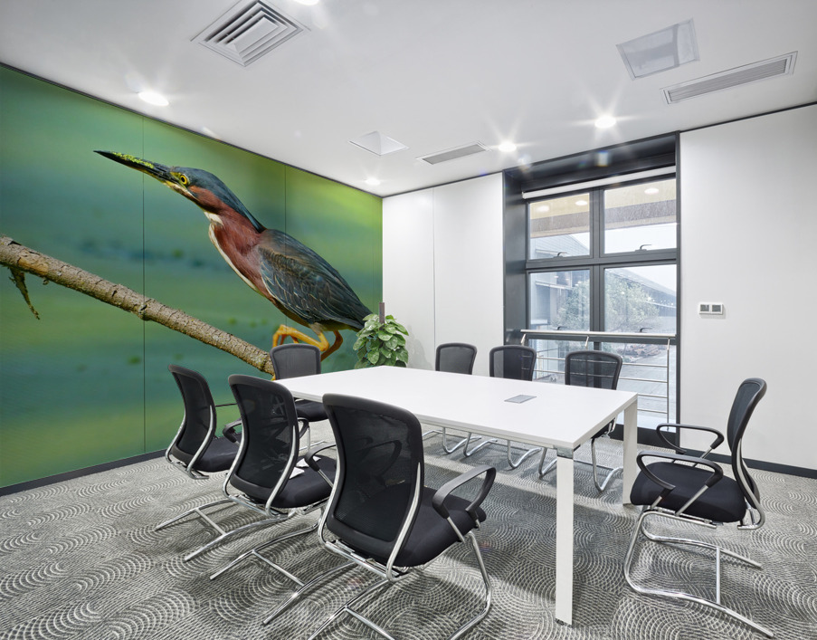 Green Heron hunting Wall Printing