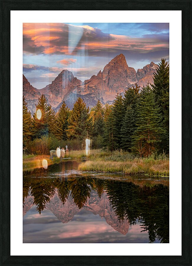 Moose in the Morning Picture Frame print