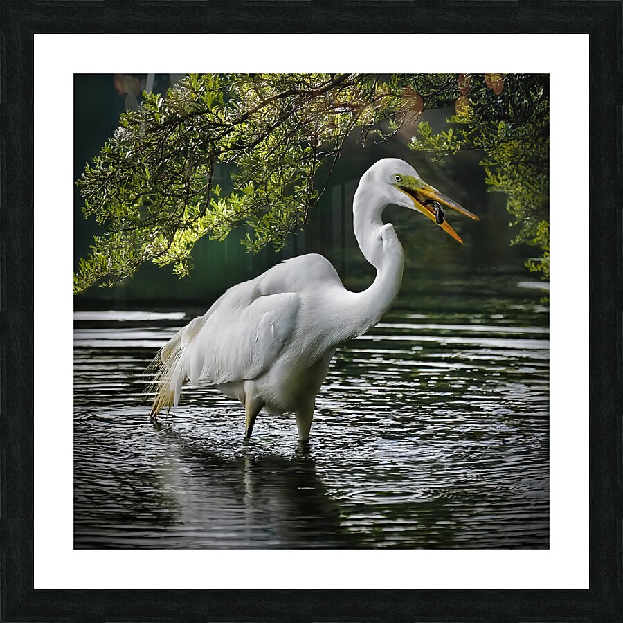 Just lunch  Picture Frame print