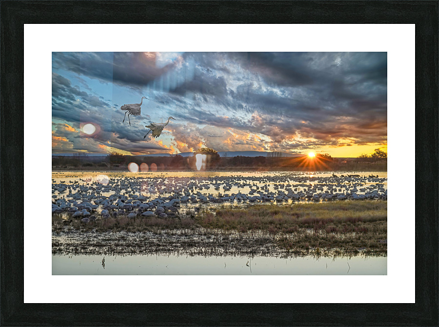 Sunrise at the Bosque Frame print