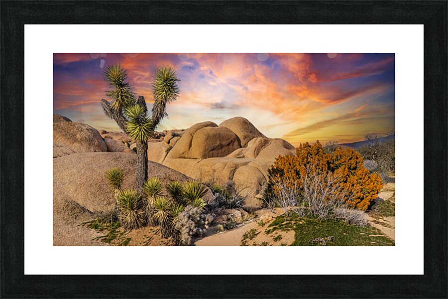 Joshua tree landscape Picture Frame print