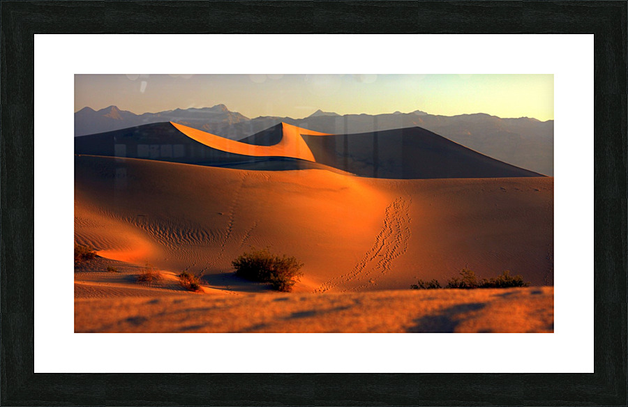 Mesquite Dunes at Dusk  Impression encadrée