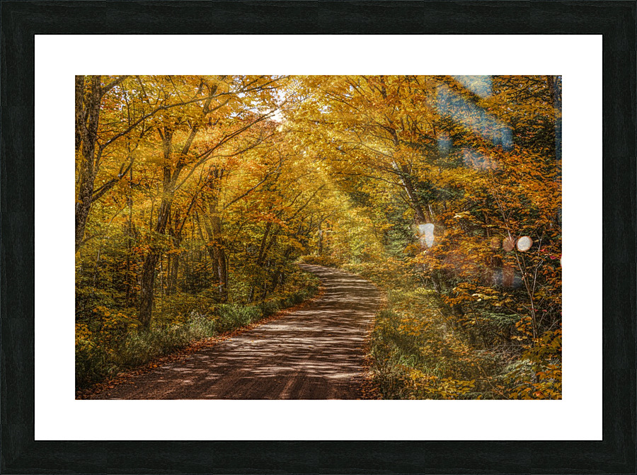 Sun Beams in Fall Color Picture Frame print