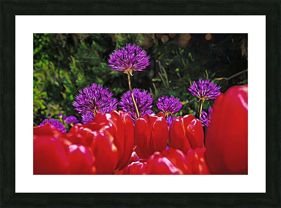 Flowers of color Picture Frame print