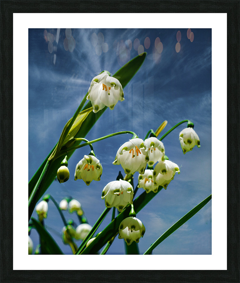 Flower bells are ringing Picture Frame print