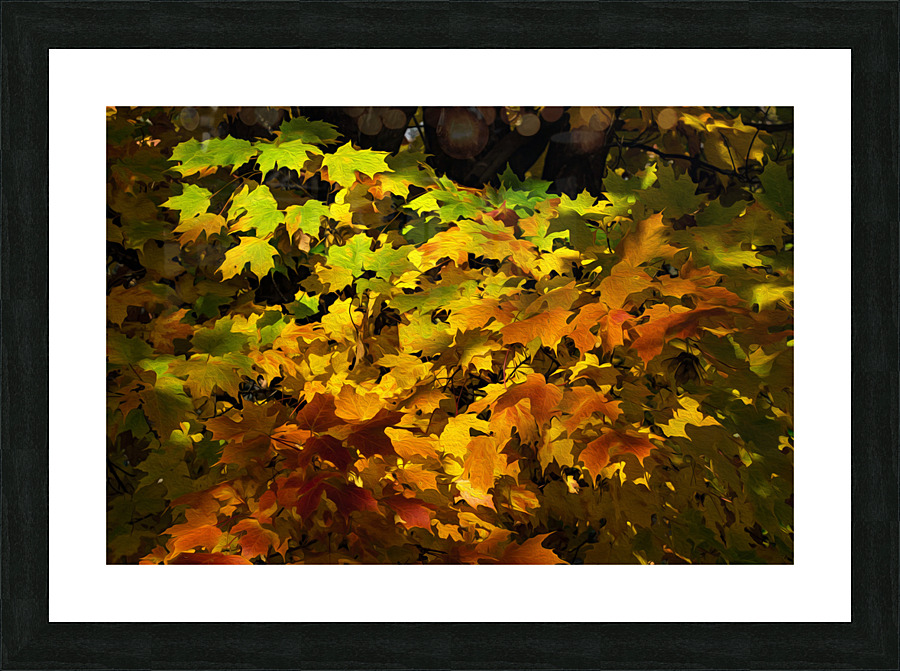 Fall Colors Picture Frame print
