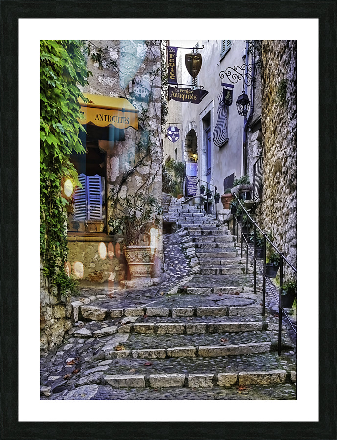 Steps in  France Picture Frame print