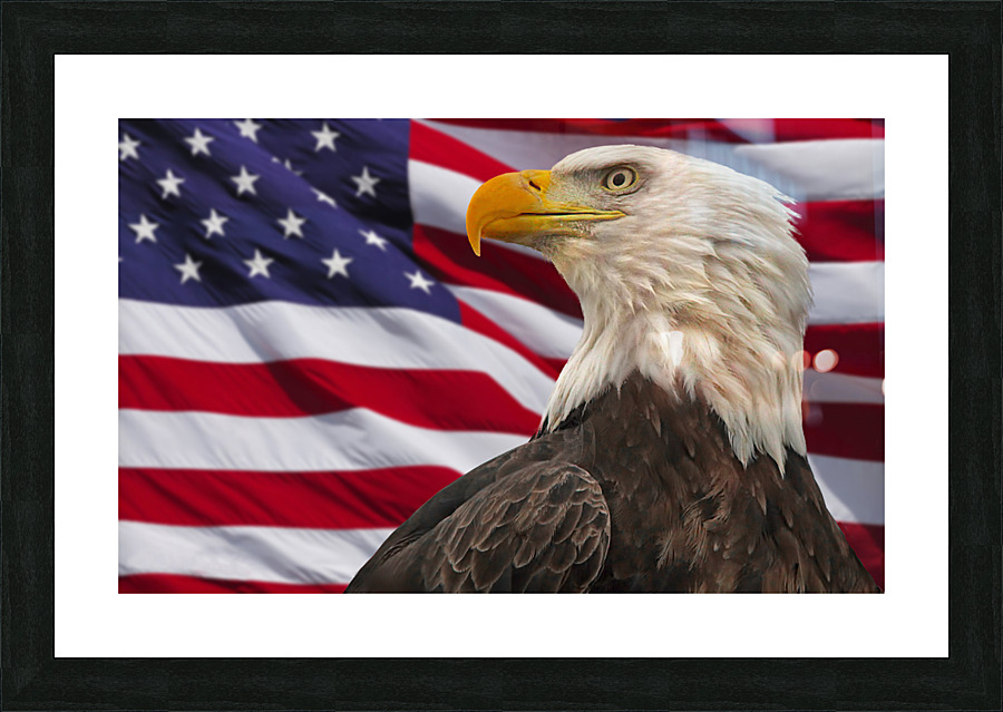 Proud Bird Picture Frame print