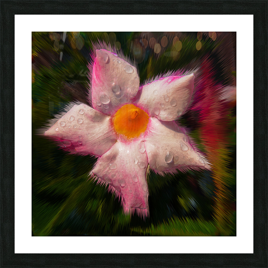 Hair of the Mandevilla Picture Frame print
