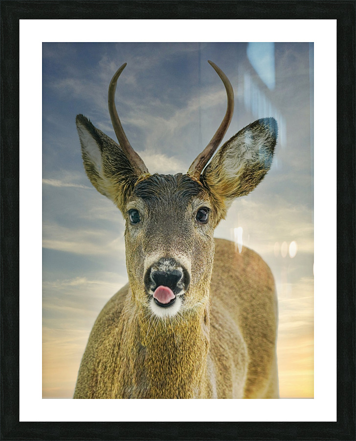 Feed me   Picture Frame print