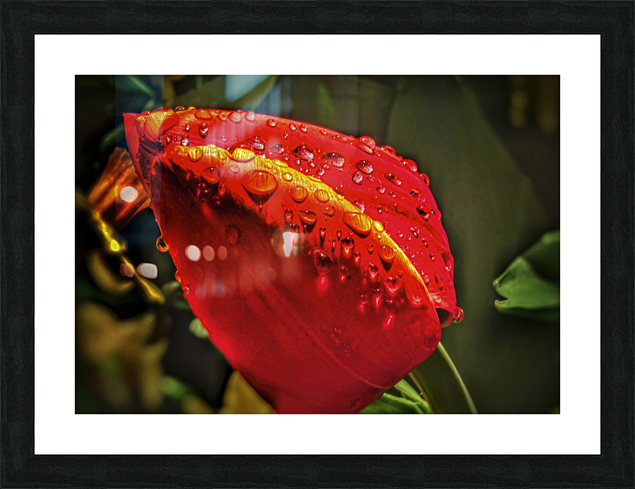 1382 Kuchenhof Picture Frame print