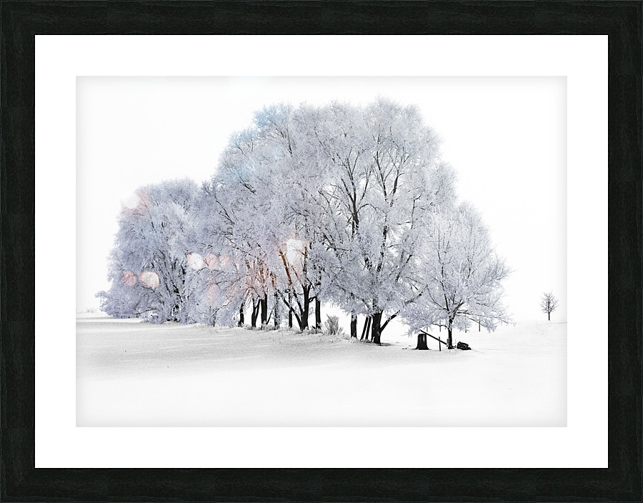 Hoarfrost in Minnesota Picture Frame print