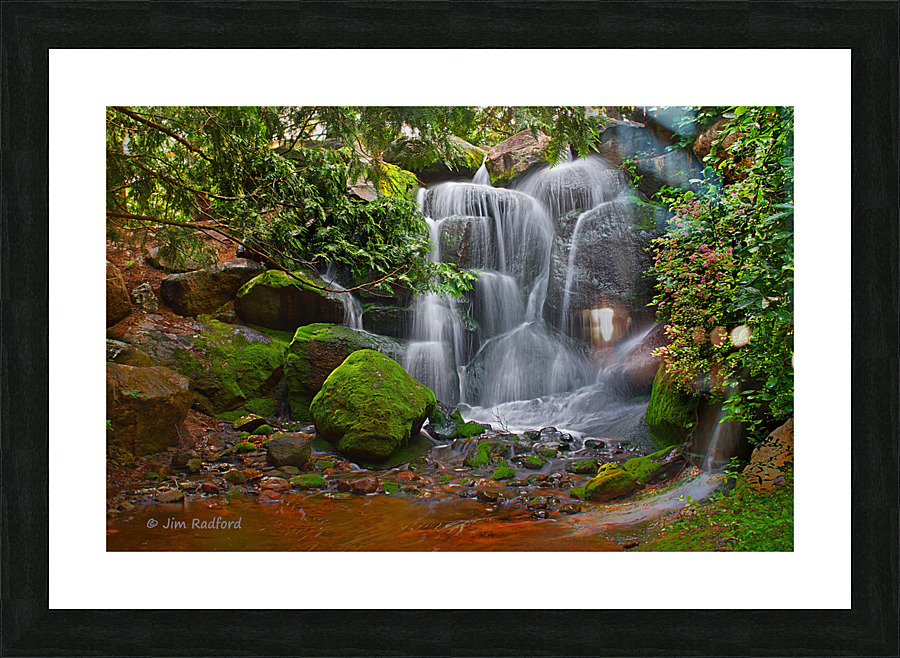  Arboretum Falls  Framed Print Print