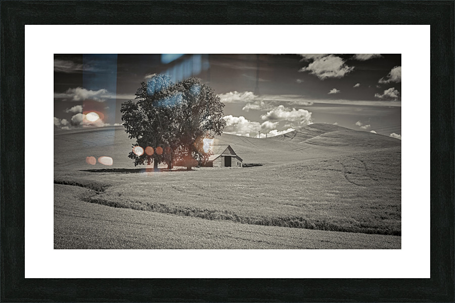 Washington farm house Picture Frame print