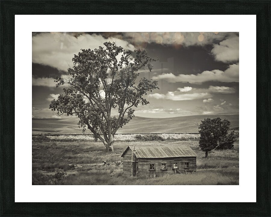 Washington farm plot Picture Frame print