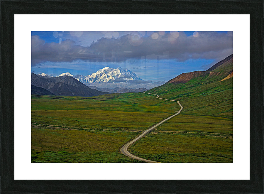 Denali park road Picture Frame print