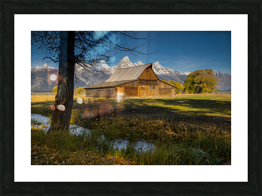 Abandoned Mormon Row Picture Frame print