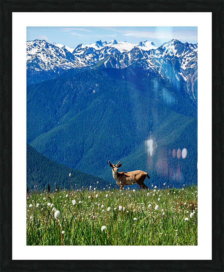 Olympic mountain range Picture Frame print