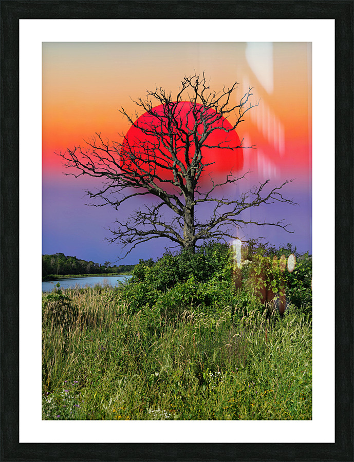 Sun is up  Picture Frame print