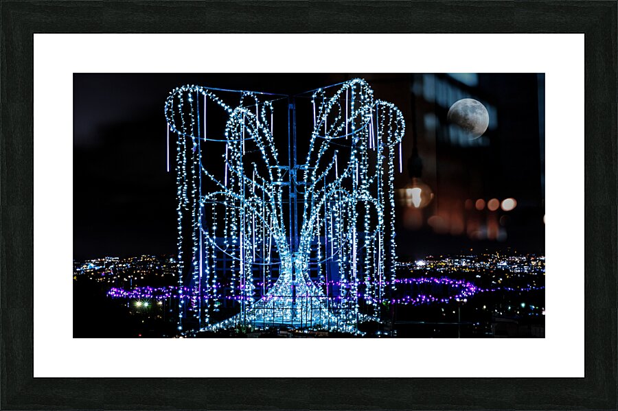 Aboretum Winter Lights Picture Frame print
