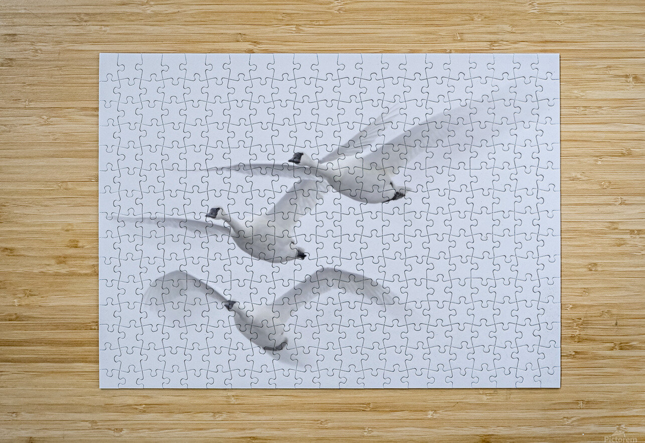 Wings in the Wind Jim Radford Puzzle printing