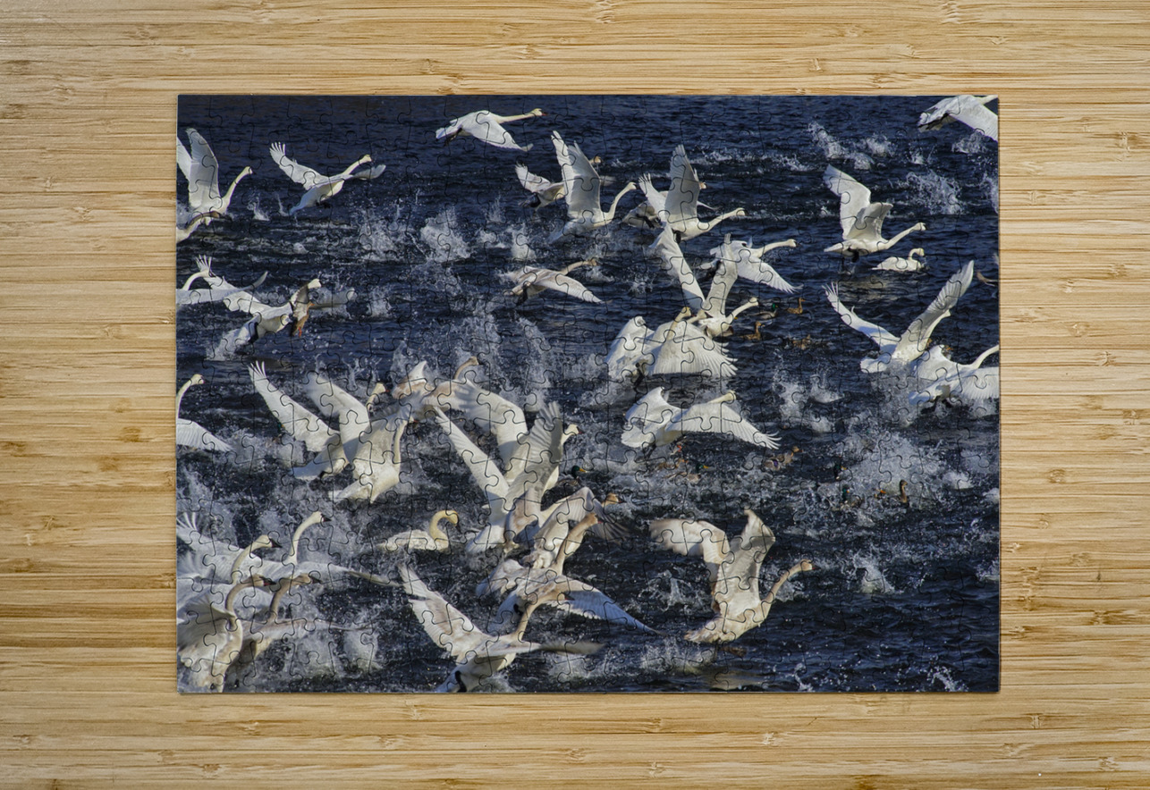 Liftoff  Jim Radford Puzzle printing