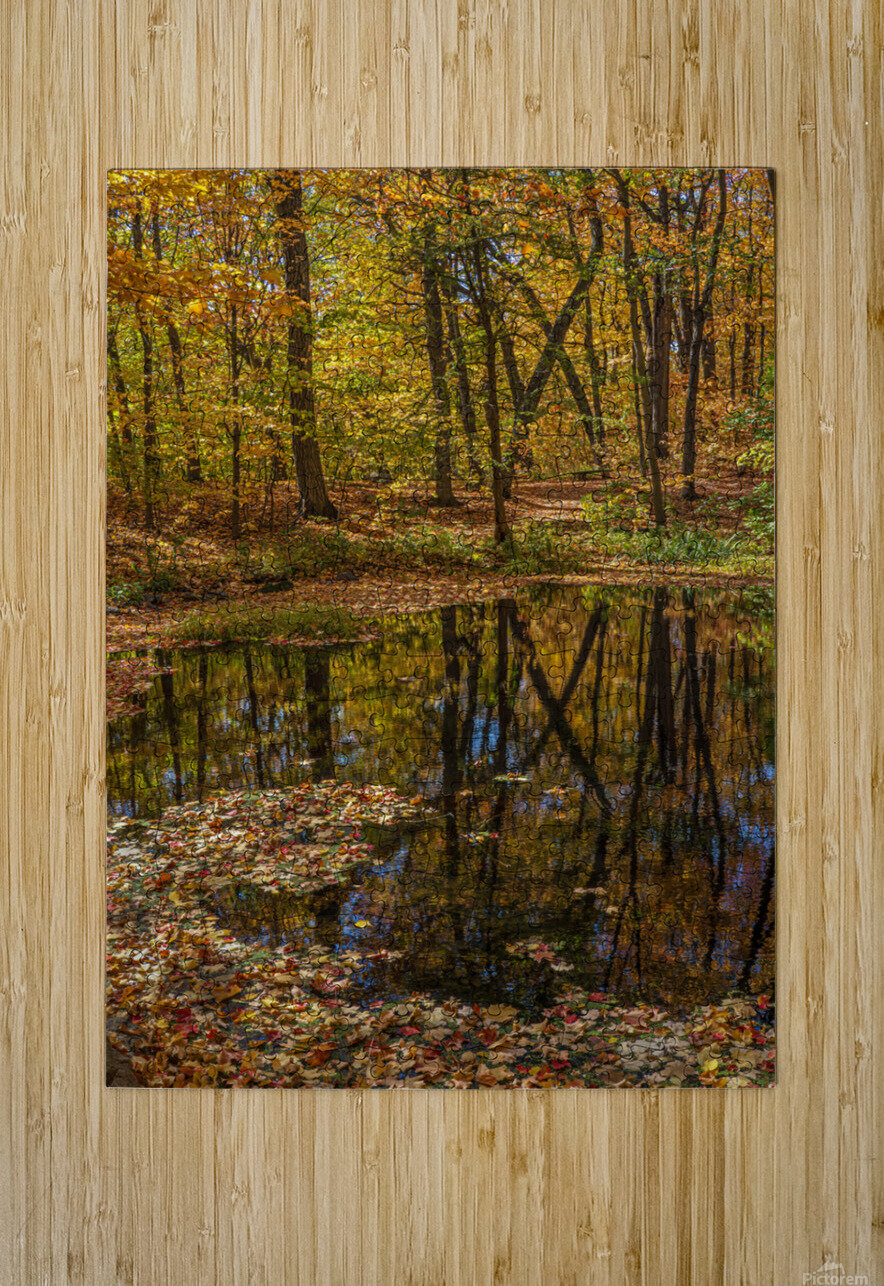 Forest Reflections Jim Radford Puzzle printing