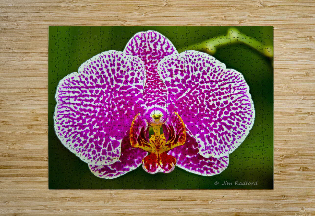 Pink Orchid Jim Radford Puzzle printing