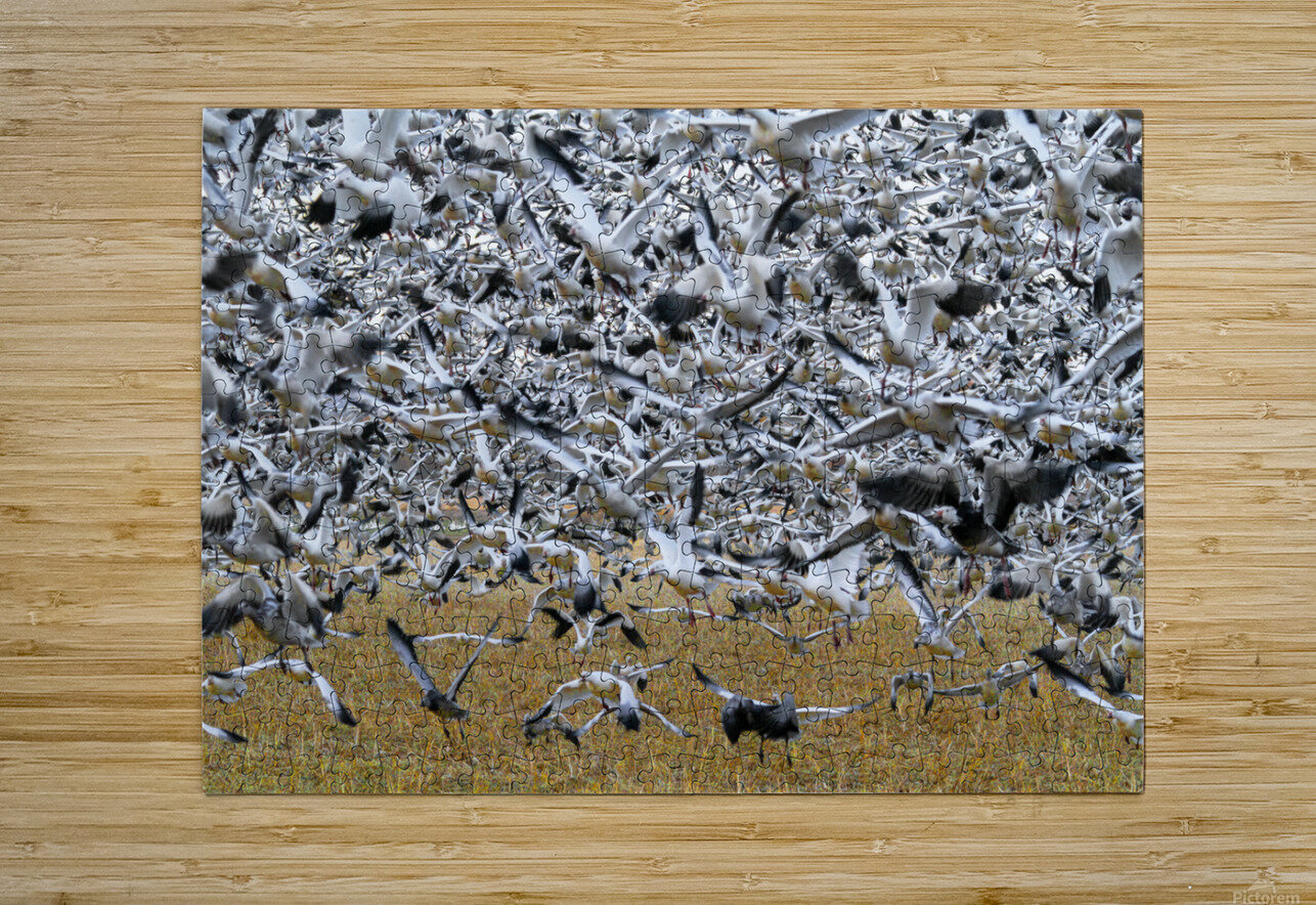 Lift Off  Jim Radford Puzzle printing