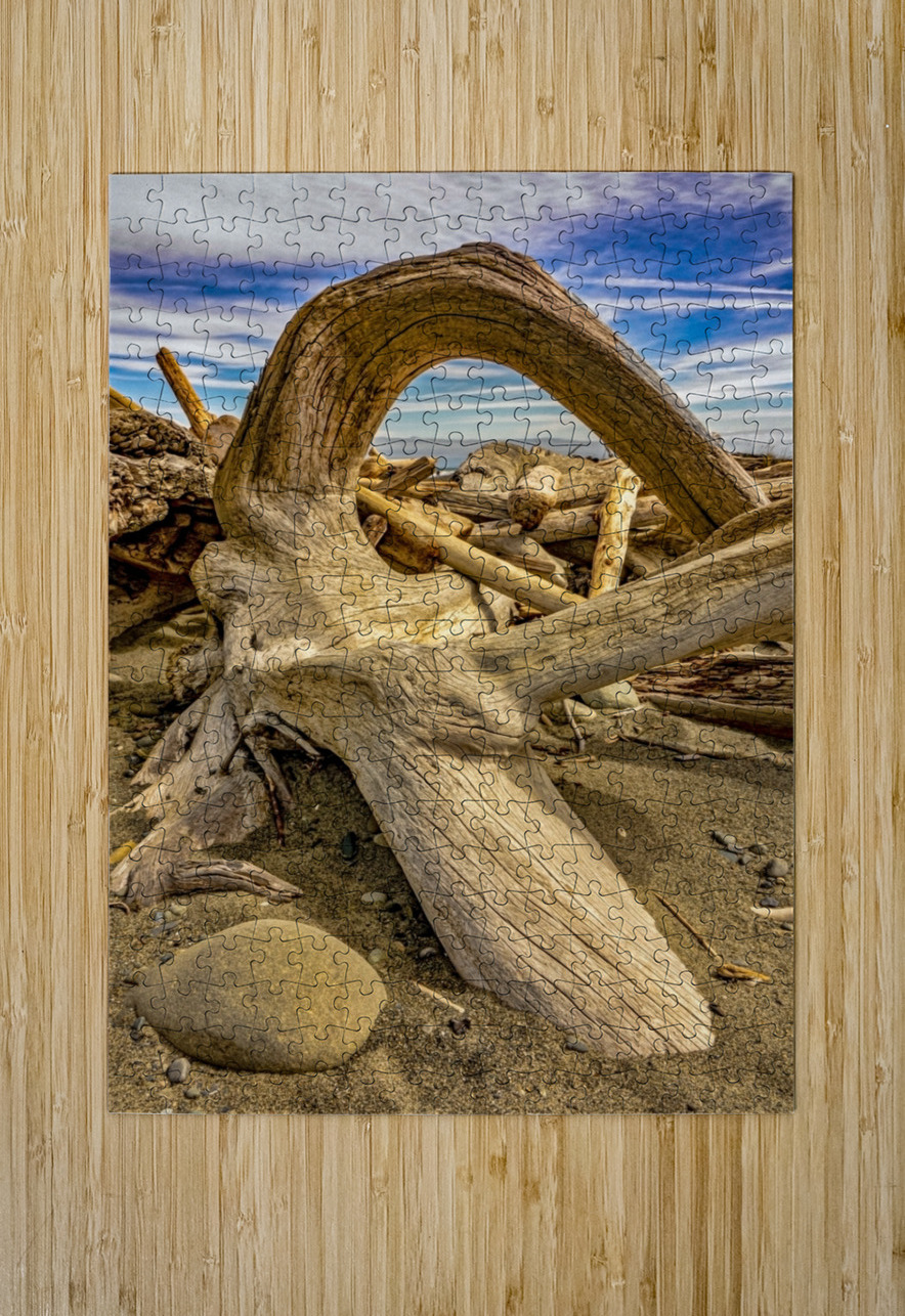 Drift wood in Washington Jim Radford Puzzle printing