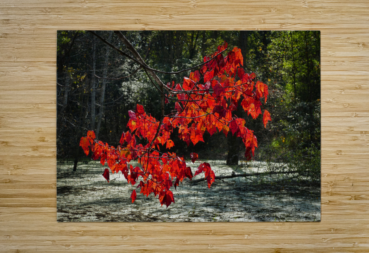   Fall Color in Lutsen Jim Radford Puzzle printing