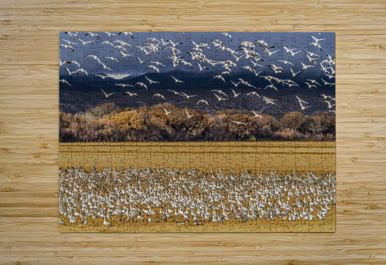 Migration of the birds Jim Radford Puzzle printing