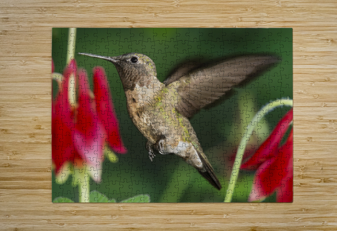 Hummer in the red Jim Radford Puzzle printing