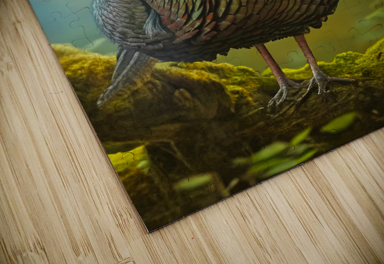 Turkey Gobbler Jim Radford Puzzle