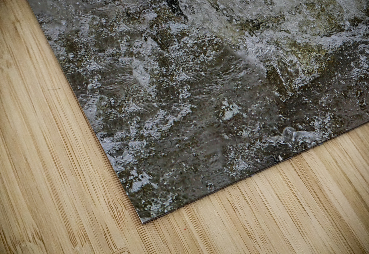 Battling Swans Jim Radford Puzzle