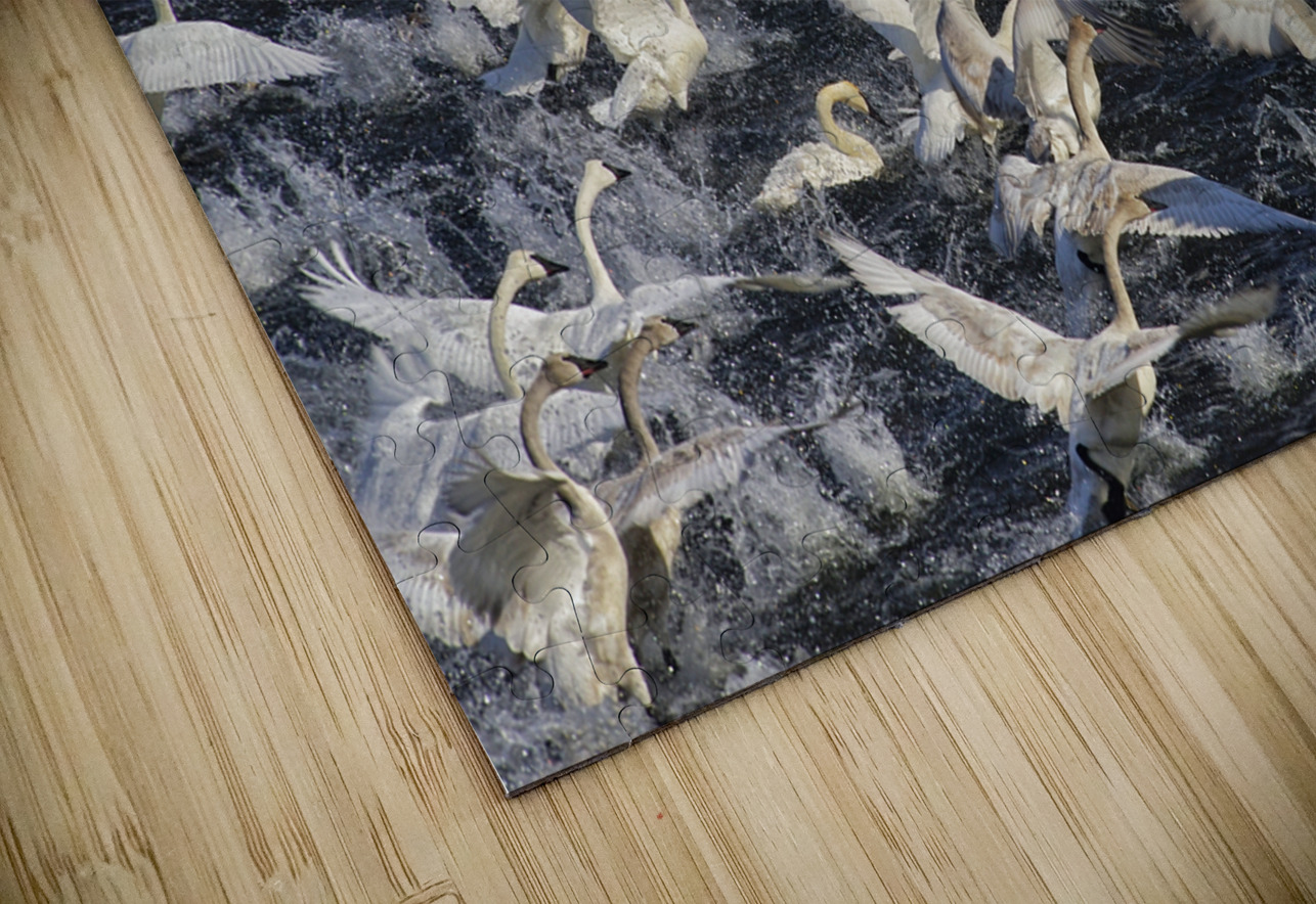 Liftoff  Jim Radford Puzzle