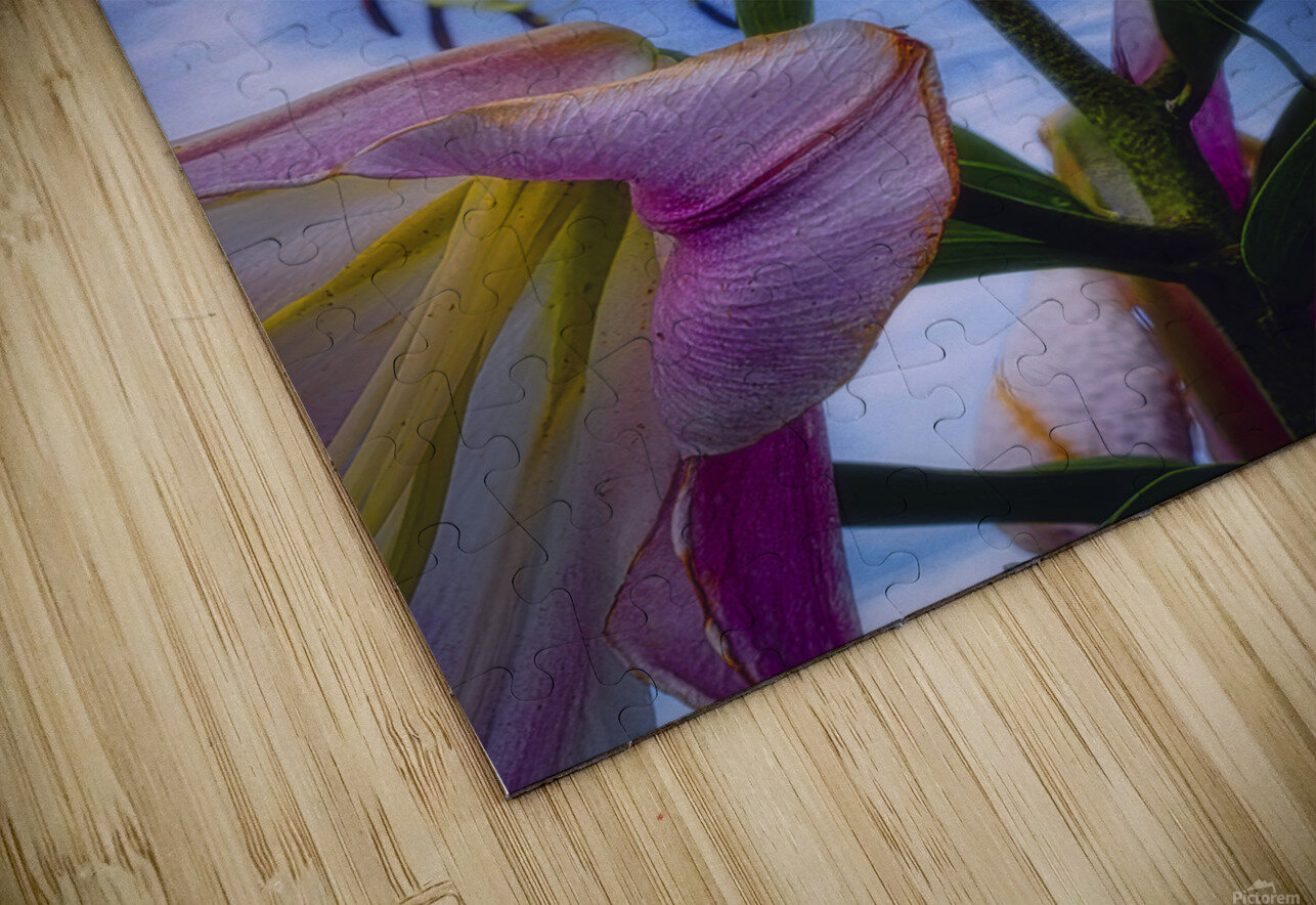 Starshine Lily Jim Radford Puzzle