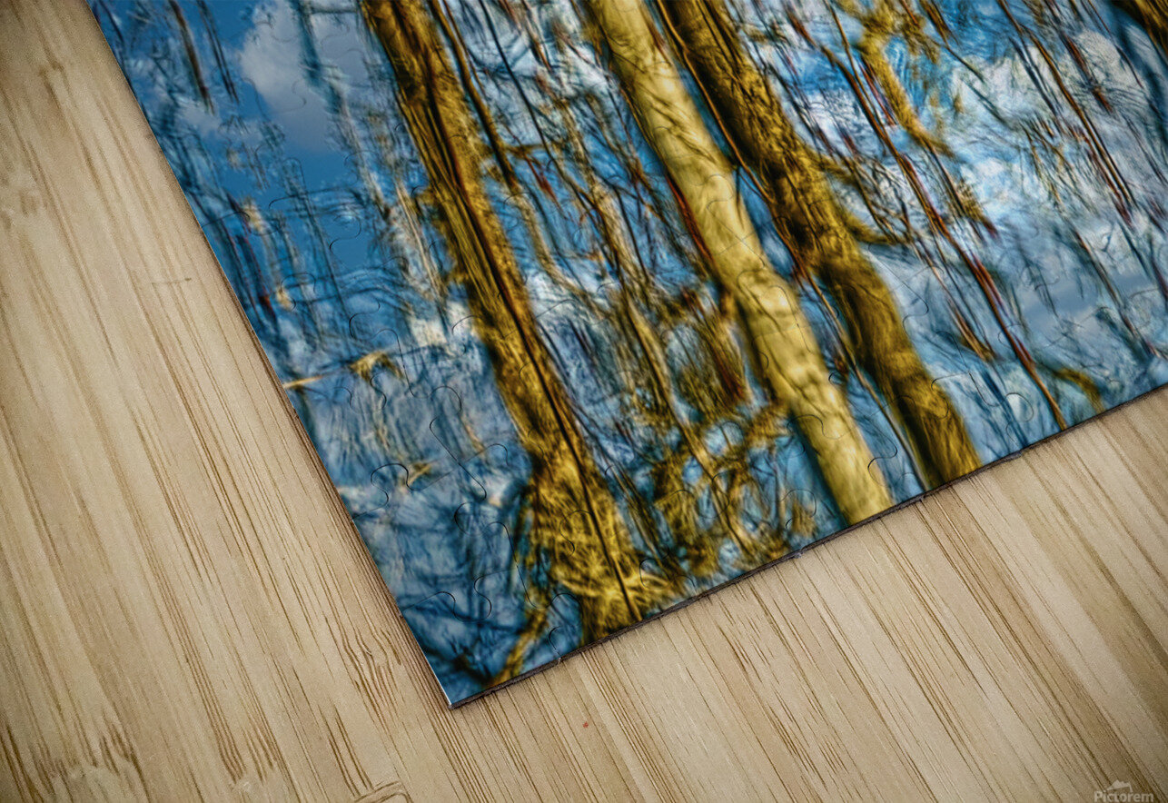 Reflections in a Forest Jim Radford Puzzle