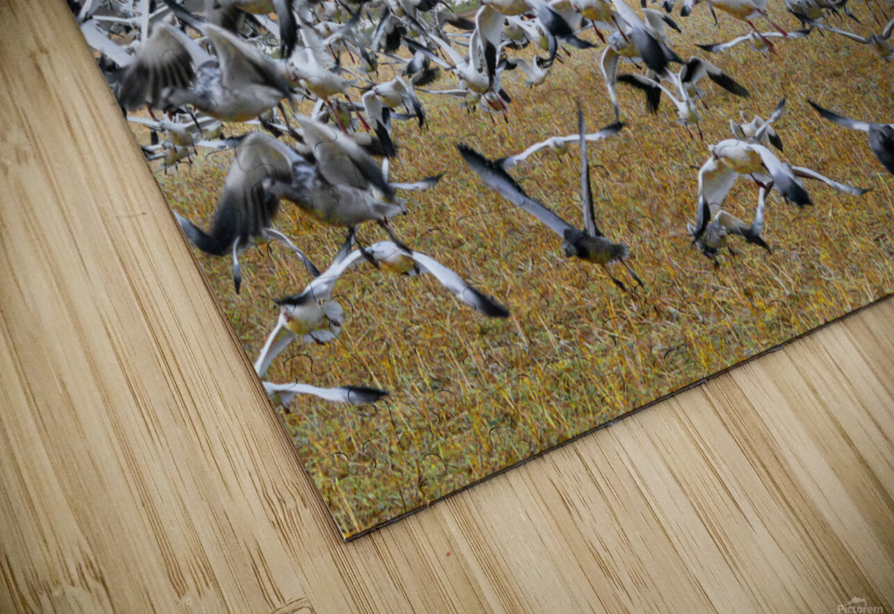 Lift Off  Jim Radford Puzzle