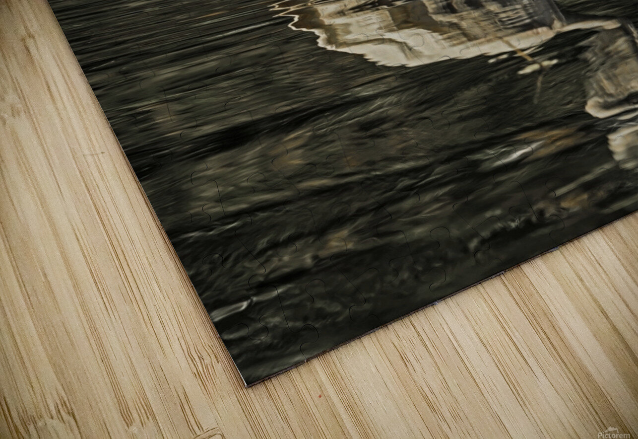 Egret fishing Jim Radford Puzzle